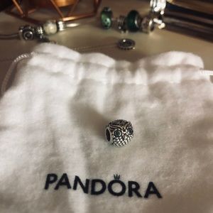 Pandora Charms